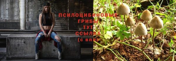стафф Санкт-Петербург