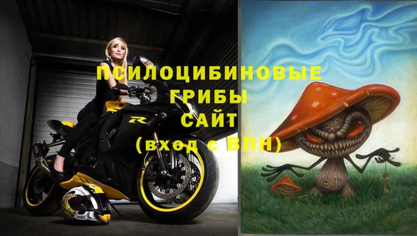 МДПВ Новосибирск