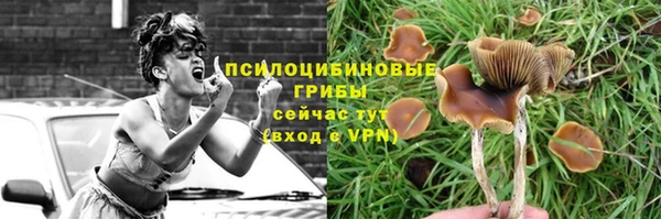 МДПВ Новосибирск