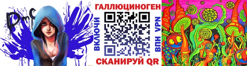 магазин    Нальчик  Галлюциногенные грибы GOLDEN TEACHER 