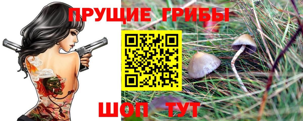 Галлюциногенные грибы MAGIC MUSHROOMS  Галлюциногенные грибы мицелий  Нальчик  Вход с VPN 