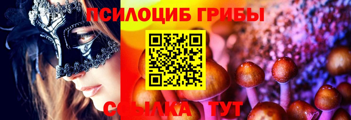 Галлюциногенные грибы Psilocybine cubensis Нальчик